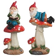 View Gnome on Mushroom set