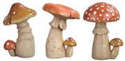 View Mushroom Set