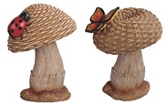View Mushroom Set