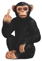 View Chimpanzee