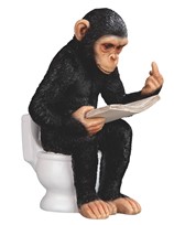 View Chimpanzee