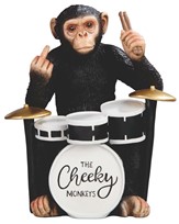 View Chimpanzee