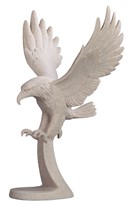 View Eagle