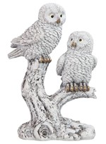 View Owl Couple on Branch