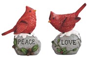 View Cardinal on Stone set