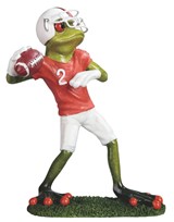 View Frog Football