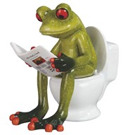 View Frog Reading on Toilet