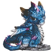 View Dragon