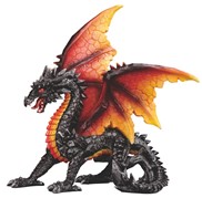 View Dragon