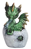 View Dragon