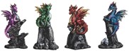 View Dragon with Skull Set