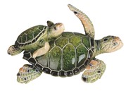 View Sea Turtle with Cub