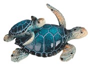 View Sea Turtle with Cub