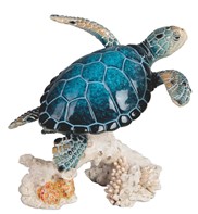 View Sea Turtle