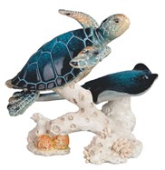 View Sea Turtle with Manta Ray