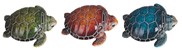 View Sea Turtle Babies