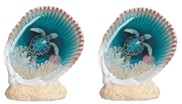 View Sea Turtle in Shell
