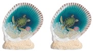 View Sea Turtle in Shell