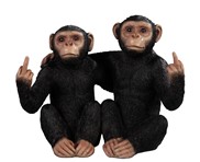 View Chimpanzees Sitting Naughty