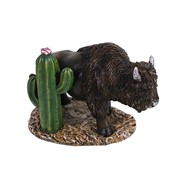 View Buffalo with Cactus