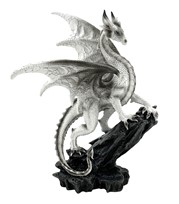View White Dragon on Rock